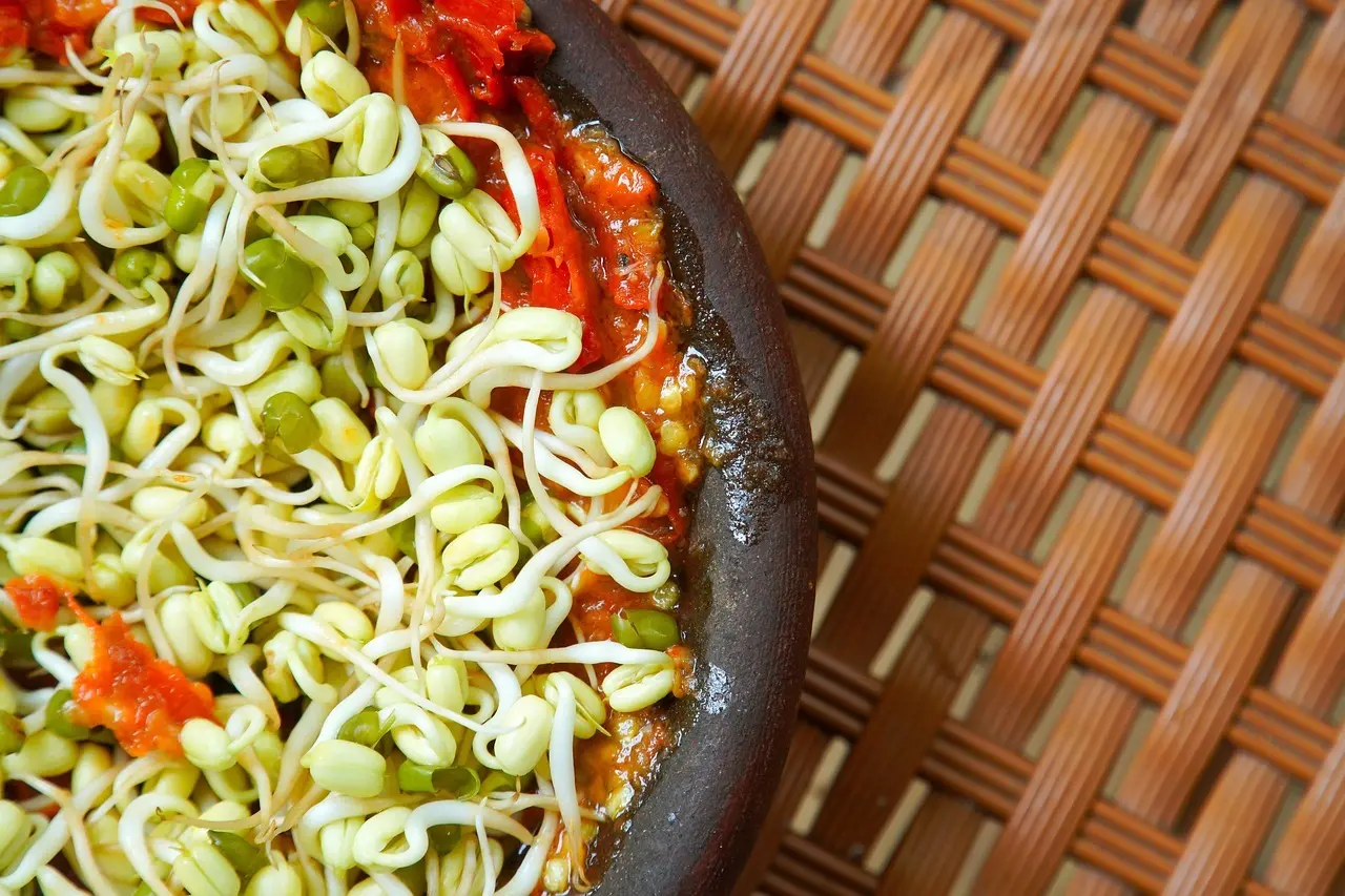 Skål med bønnespirer og rød sauce