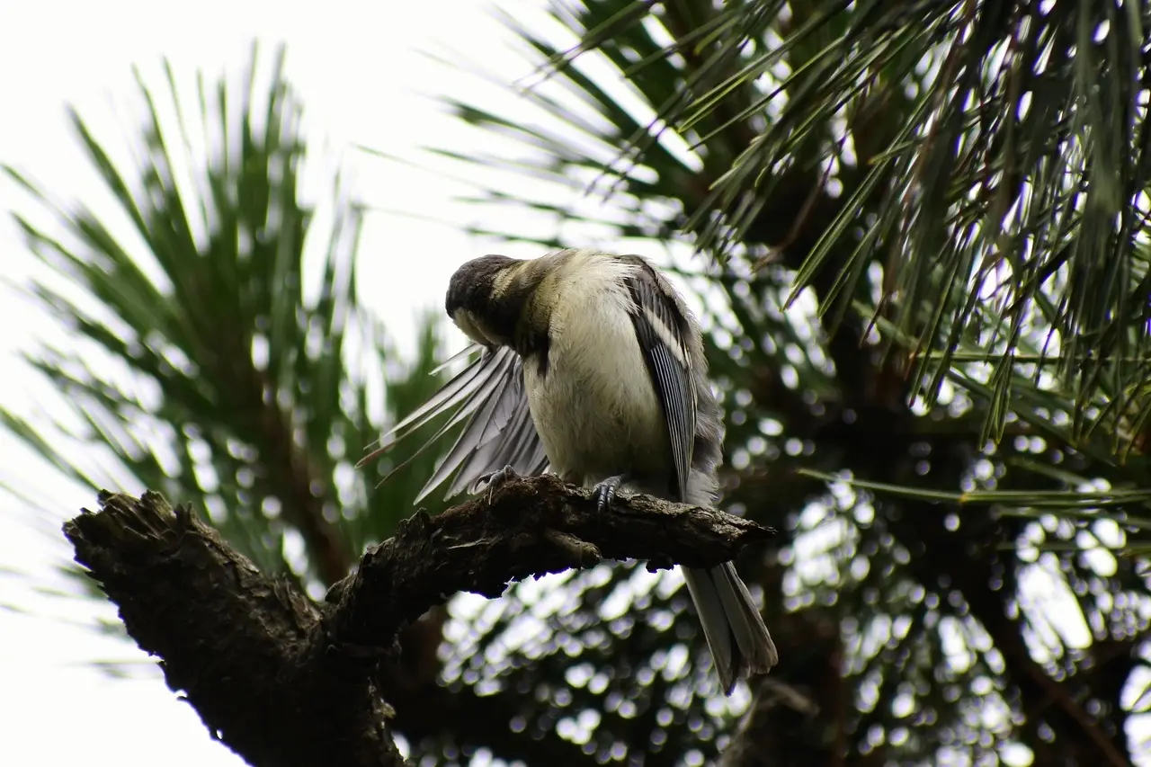 Reparér i stedet for at erstatte: Trin-for-trin til at lappe jeans, strik og tæpper
